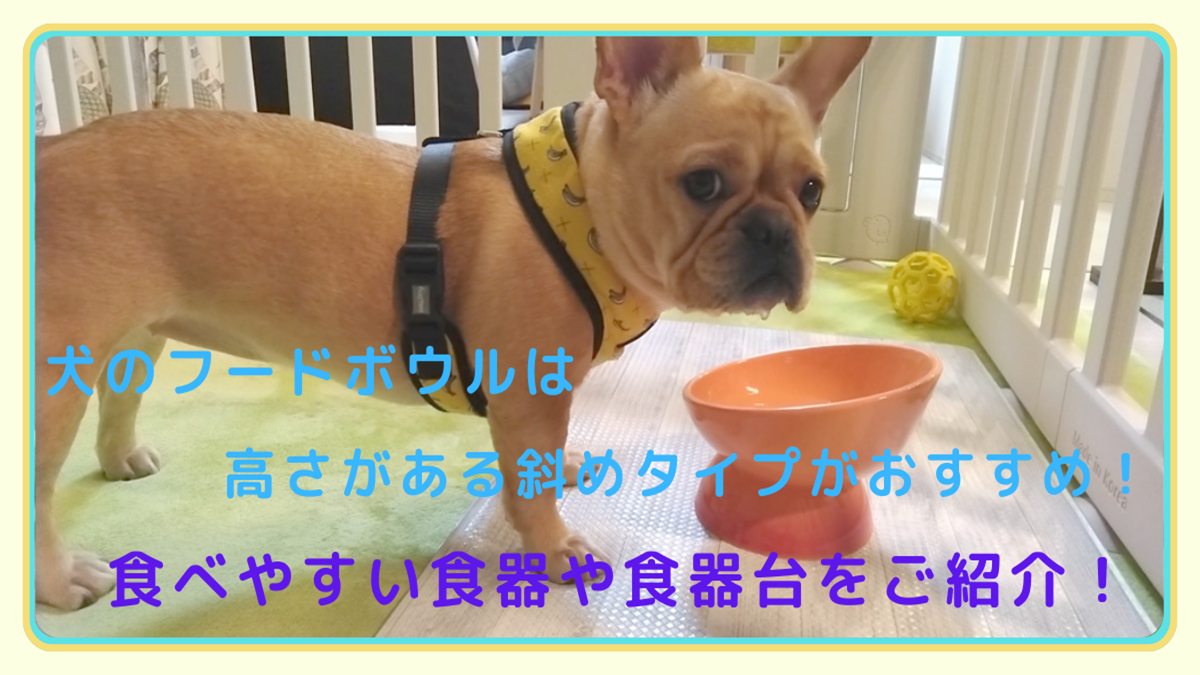 犬のフードボウルは高さがある斜めタイプがおすすめ！食べやすい食器や食器台をご紹介！
