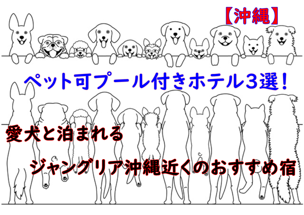 【沖縄】ペット可プール付きホテル３選！愛犬と泊まれるジャングリア沖縄近くのおすすめ宿